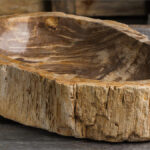 Fossil wood stone sink
