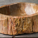 Fossil wood stone sink