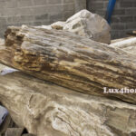 Petrified wood stone washbasins producer
