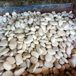 pebble tiles manufacturer - export packaging